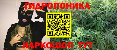 шишки Гусь-Хрустальный