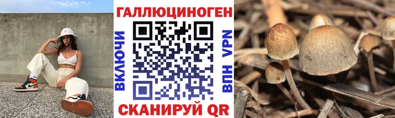 Галлюциногенные грибы ЛСД  ОМГ ОМГ ссылка  Когалым 