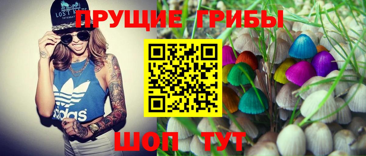 продажа наркотиков  Псилоцибиновые грибы Psilocybe  Когалым  Вход с VPN  Псилоцибиновые грибы Cubensis 