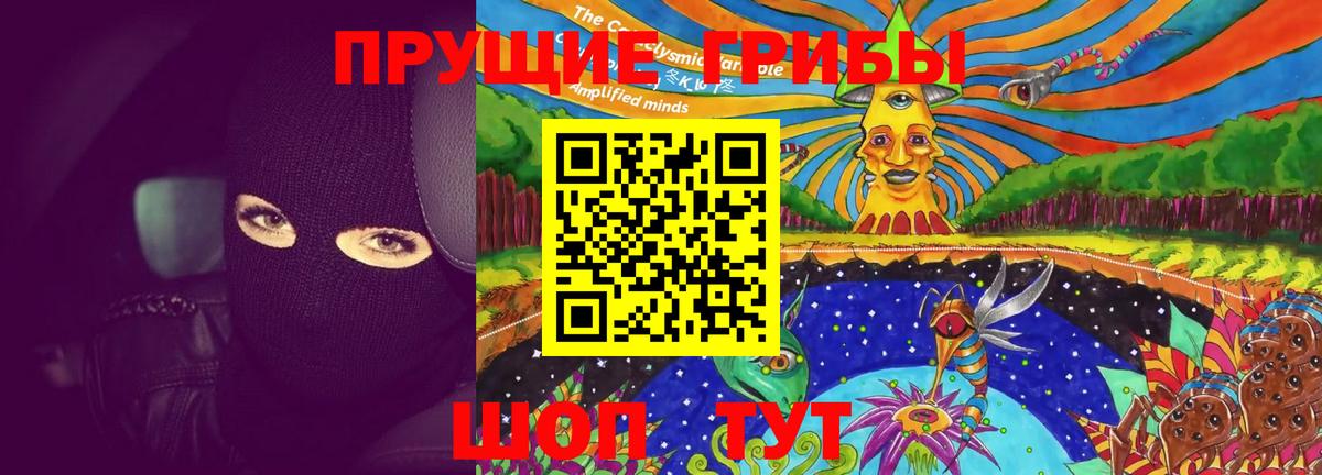 Галлюциногенные грибы Psilocybine cubensis Когалым