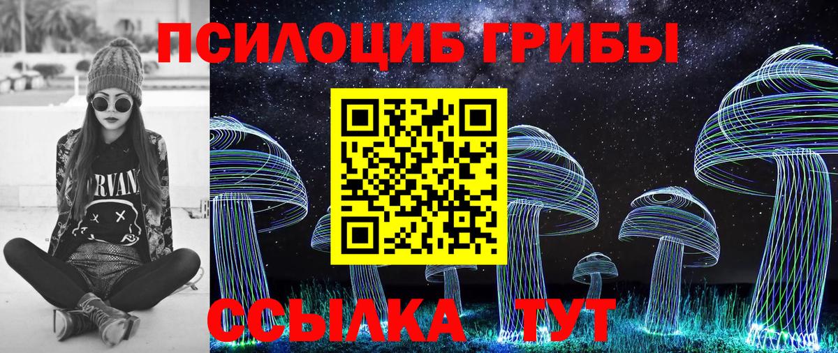 Псилоцибиновые грибы Psilocybine cubensis Когалым